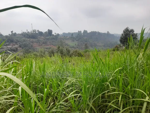 Kamwangi Quarter Acre Plot 50m from Thika-Mangu Flyover - 1