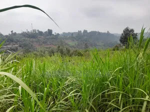 Kamwangi Quarter Acre Plot 50m from Thika-Mangu Flyover