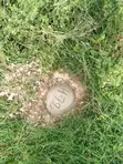 Bamburi Plot for Sale - 1/16 Acre - 5