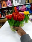 Seti ya Vipande 5 vya Maua ya Tulip - 2