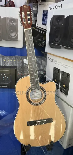 Explorer Classical Guitar - Brand New