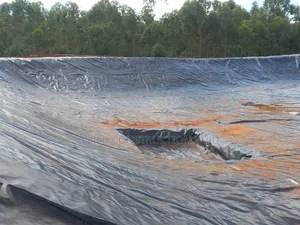 Premium HDPE Dam Liner 1mm