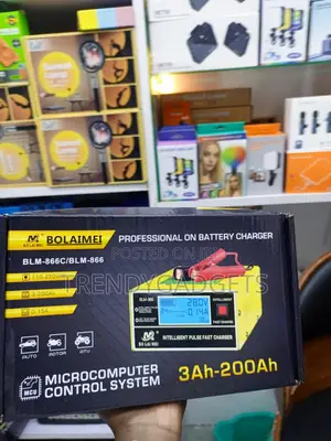 Bolaimei BLM-866C Intelligent Battery Charger (12V/24V)