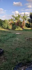 50x100 Plot Bordering Southern Bypass, Thogoto - 2