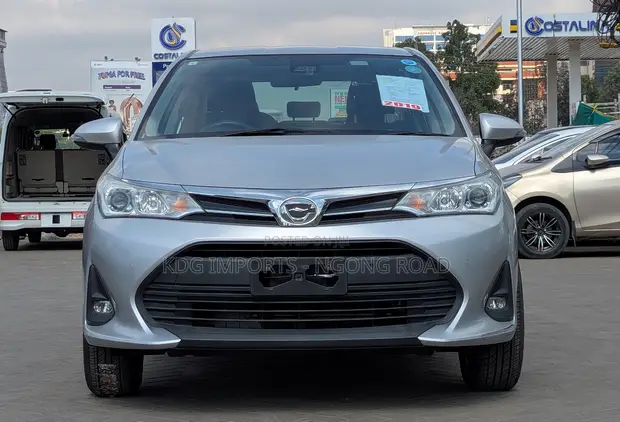 Toyota Axio 2019 Silver - 1