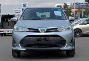Toyota Axio 2019 Silver