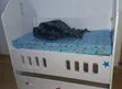 Kitanda cha Mtoto Kipya na godoro na walinzi wa pembeni - 2