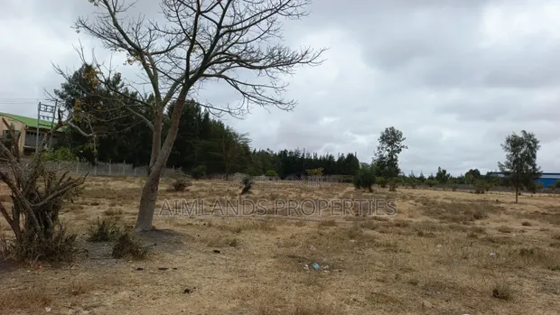2 Acres Prime Land for Sale in Kisaju Near Fred Ranch - 1