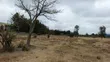 2 Acres Prime Land for Sale in Kisaju Near Fred Ranch - 1