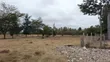 2 Acres Prime Land for Sale in Kisaju Near Fred Ranch - 2