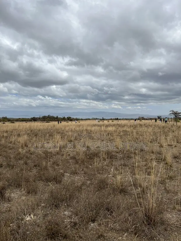 50x100 Plots for Sale KES 750,000 Cash - Naivasha-Mai Mahiu Highway - 1