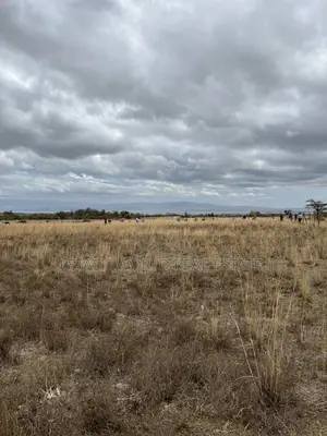 50x100 Plots for Sale KES 750,000 Cash - Naivasha-Mai Mahiu Highway
