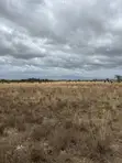 50x100 Plots for Sale KES 750,000 Cash - Naivasha-Mai Mahiu Highway - 1