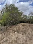 50x100 Plots for Sale KES 750,000 Cash - Naivasha-Mai Mahiu Highway - 2