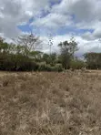 50x100 Plots for Sale KES 750,000 Cash - Naivasha-Mai Mahiu Highway - 3