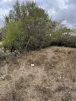 50x100 Plots for Sale KES 750,000 Cash - Naivasha-Mai Mahiu Highway - 4