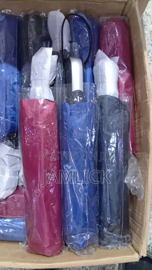 Silver Top Umbrella - Brand New - 1