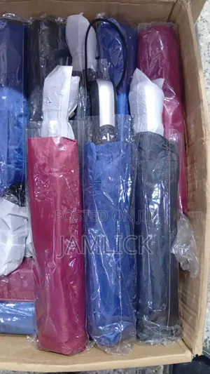 Silver Top Umbrella - Brand New