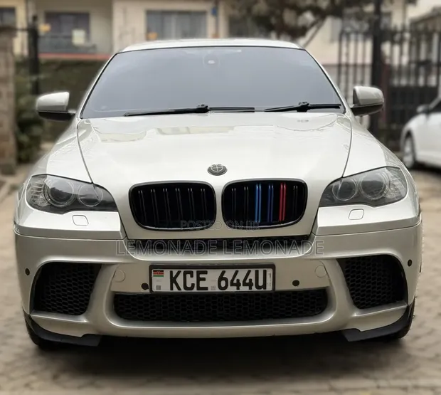 BMW X6 xDrive 30d 2009 Gold - 1