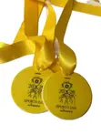 Custom Medals & Awards - 2