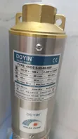 Doyin 600W Solar Water Pump (0.8HP, 55m Head) - 2