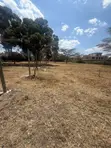 1 Acre Prime Land for Sale - Karen, Bogani Road - 1