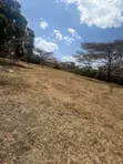 1 Acre Prime Land for Sale - Karen, Bogani Road - 2