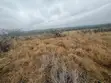 Prime 1/2 Acre Land for Sale - Isinya Greenland - 1
