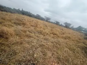 Prime 1/2 Acre Land for Sale - Isinya Greenland