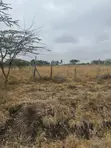 Prime 1/2 Acre Land for Sale - Isinya Greenland - 4