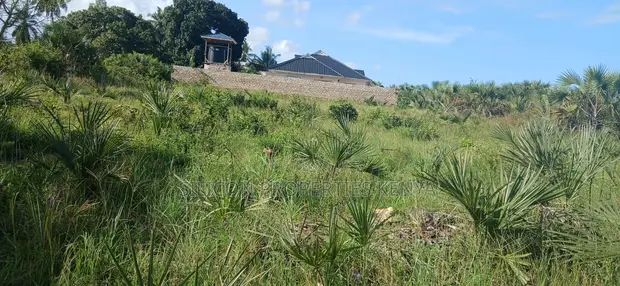 Quarter-Acre Plot for Sale in Mvindeni - 1