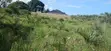 Quarter-Acre Plot for Sale in Mvindeni - 1