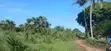 Quarter-Acre Plot for Sale in Mvindeni - 2