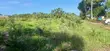 Quarter-Acre Plot for Sale in Mvindeni - 3