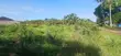 Quarter-Acre Plot for Sale in Mvindeni - 4