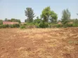 Kitalu cha Mamboleo 0.5 Acre Kinauzwa - 1