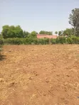 Kitalu cha Mamboleo 0.5 Acre Kinauzwa - 2
