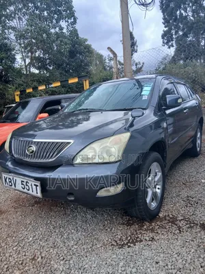 Toyota Harrier 2005 Kijivu