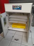 Premier AC 528 Incubator ya Mayai - 2
