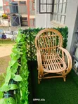 Artificial Plants - Watermelon and Dark Green Fences - 1