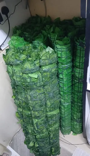 Artificial Plants - Watermelon and Dark Green Fences