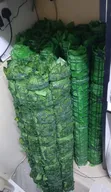 Artificial Plants - Watermelon and Dark Green Fences - 2