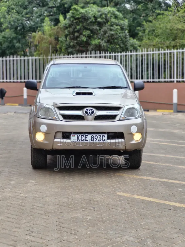 Toyota Hilux 3.0 D-4D Double Cab 2008 Brown - 1