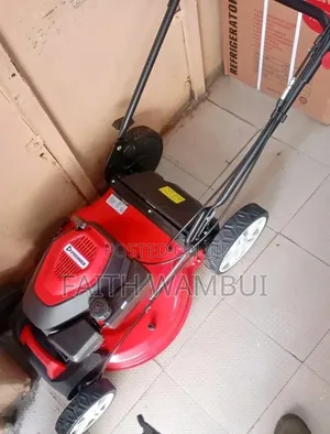 Premier Electric Lawn Mower Machine