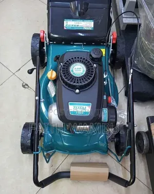 Mashine ya Kukata Majani ya Petroli 3000W 4HP Heavy Duty