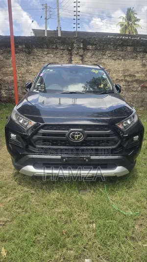 Toyota RAV4 Adventure 2019 4WD
