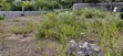 2.5 Acre Plot Near Turtle Bay, Watamu - 2
