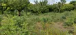 2.5 Acre Plot Near Turtle Bay, Watamu - 4
