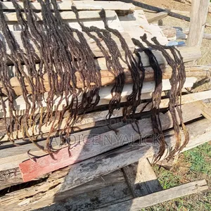 Human Dreadlocks for Sale
