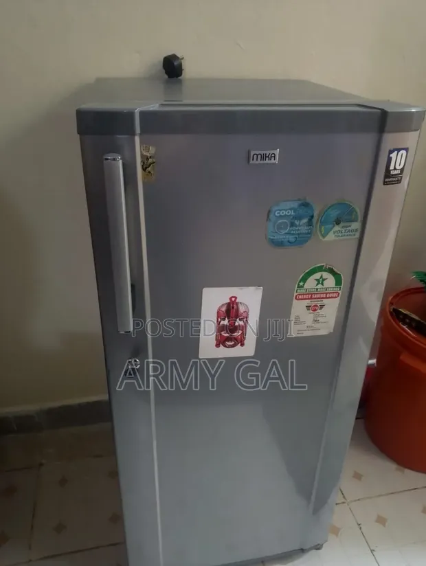 Mika Fridge - Slightly Used - 1